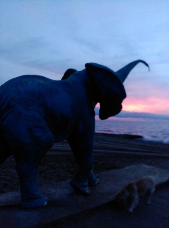Acapulco III Marina Dor Διαμέρισμα Oropesa del Mar Εξωτερικό φωτογραφία